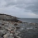 Студёное море